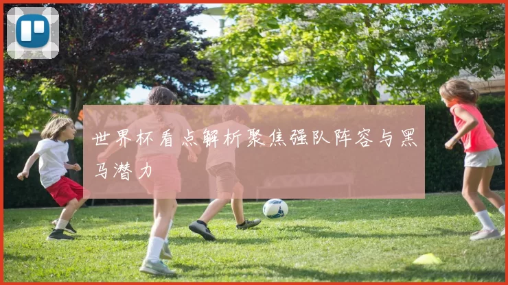 世界杯看点解析聚焦强队阵容与黑马潜力