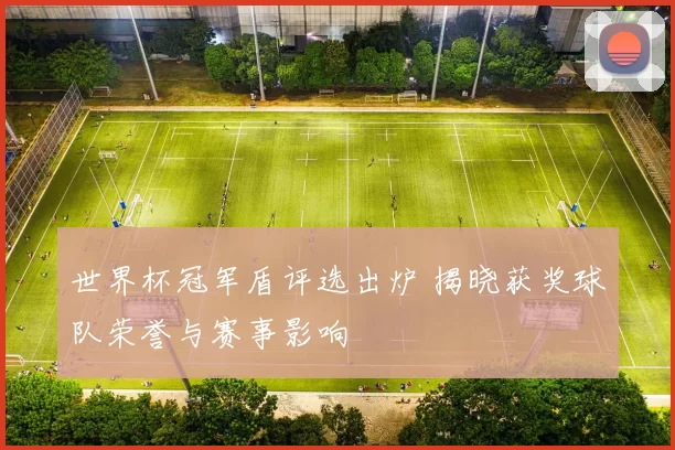 世界杯冠军盾评选出炉 揭晓获奖球队荣誉与赛事影响