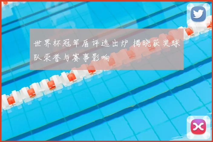 世界杯冠军盾评选出炉 揭晓获奖球队荣誉与赛事影响