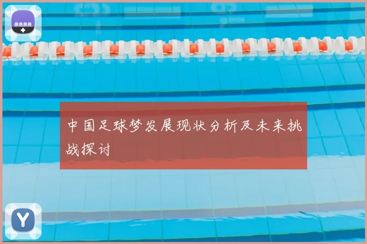 中国足球梦发展现状分析及未来挑战探讨