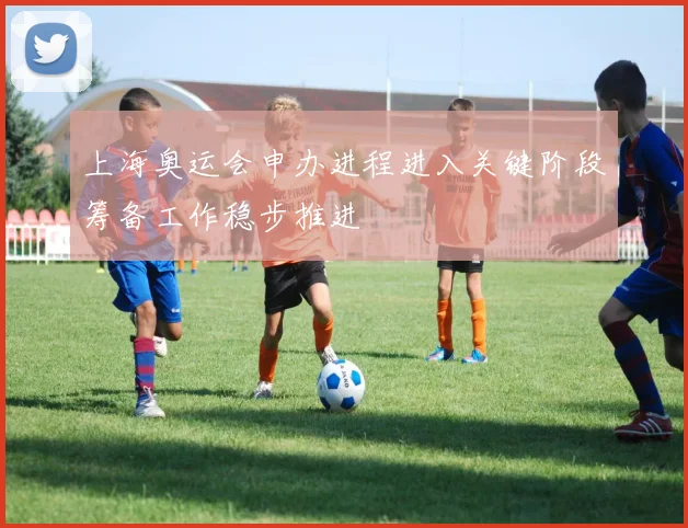 上海奥运会申办进程进入关键阶段筹备工作稳步推进