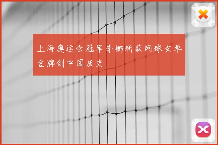 上海奥运会冠军李娜斩获网球女单金牌创中国历史